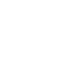 Result Icon