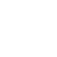 Result Icon