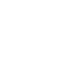 Result Icon